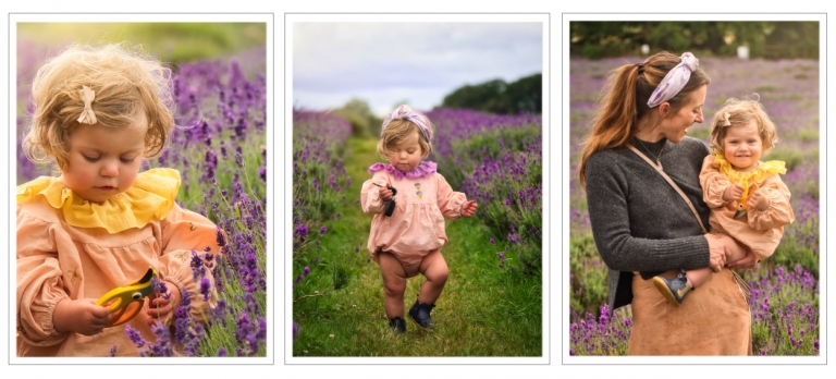 Lavender Field Photography Session